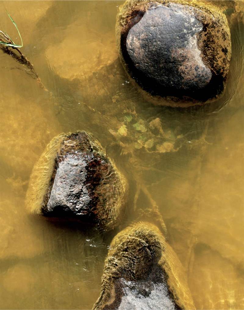 深礦是危險的地方,致命事故是生活中的事實。-復(fù)刻表