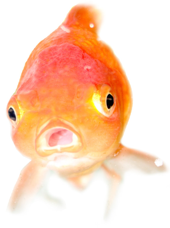 goldfish 貝托魯奇環(huán)形計(jì)時(shí)怪異尖叫臉表盤(pán)腕表-復(fù)刻表