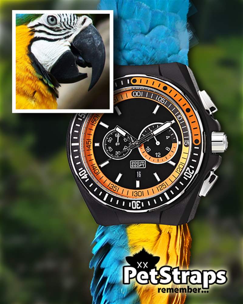 PetStraps：寵物伴侶的愛存在于……您的手腕上-復刻表